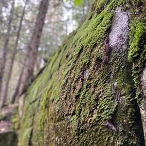 Meet your Posher, Karina